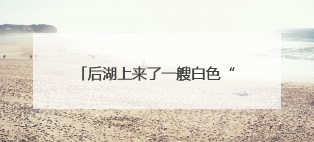 后湖上来了一艘白色“飞碟”？周六首航，45元打卡后湖泛舟新体验