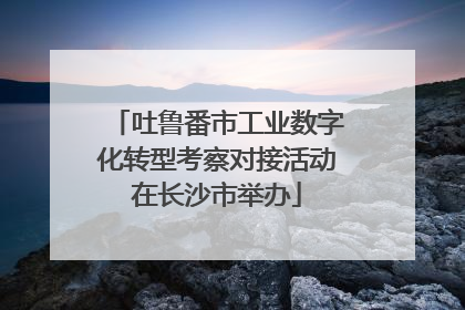 吐鲁番市工业数字化转型考察对接活动在长沙市举办