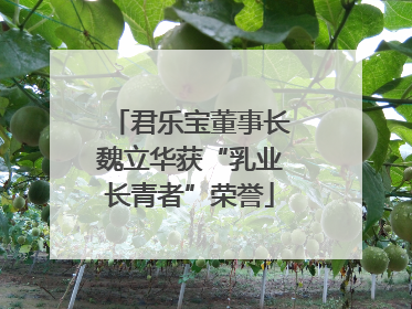 君乐宝董事长魏立华获“乳业长青者”荣誉