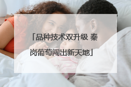 品种技术双升级 秦岗葡萄闯出新天地