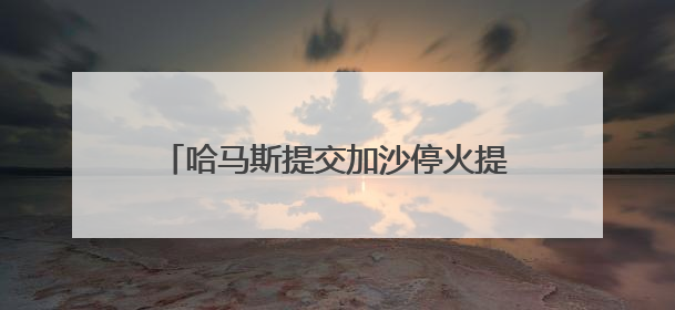 哈马斯提交加沙停火提议回应 以方称将此回应视为“有效拒绝”