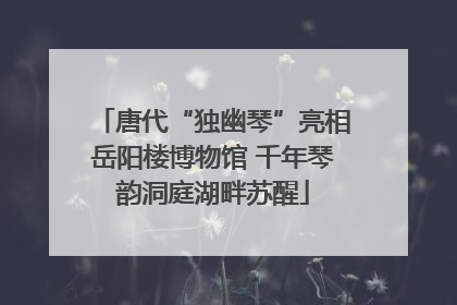 唐代“独幽琴”亮相岳阳楼博物馆 千年琴韵洞庭湖畔苏醒