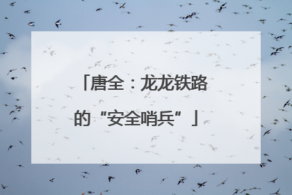 唐全：龙龙铁路的“安全哨兵”