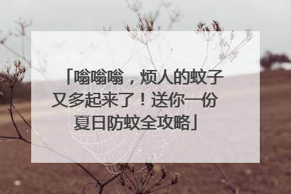 嗡嗡嗡，烦人的蚊子又多起来了！送你一份夏日防蚊全攻略