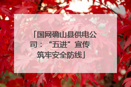 国网确山县供电公司：“五进”宣传 筑牢安全防线