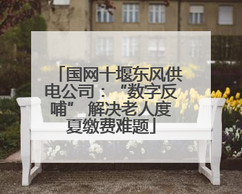 国网十堰东风供电公司：“数字反哺” 解决老人度夏缴费难题