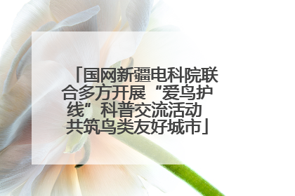 国网新疆电科院联合多方开展“爱鸟护线”科普交流活动 共筑鸟类友好城市