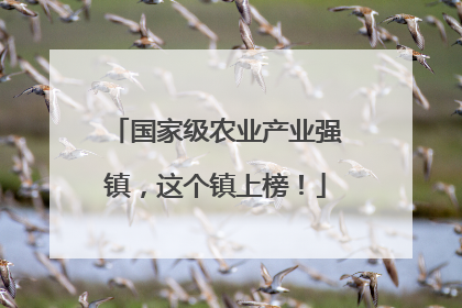 国家级农业产业强镇，这个镇上榜！