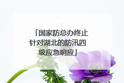 国家防总办终止针对湖北的防汛四级应急响应