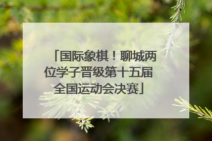 国际象棋！聊城两位学子晋级第十五届全国运动会决赛