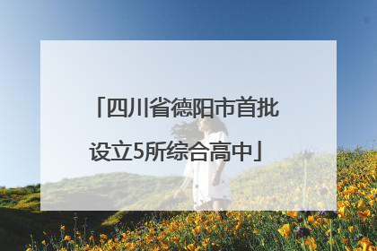四川省德阳市首批设立5所综合高中