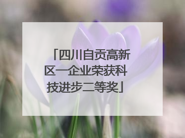 四川自贡高新区一企业荣获科技进步二等奖