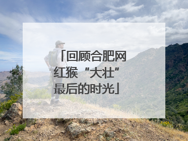 回顾合肥网红猴“大壮”最后的时光