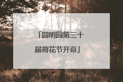 圆明园第三十届荷花节开幕