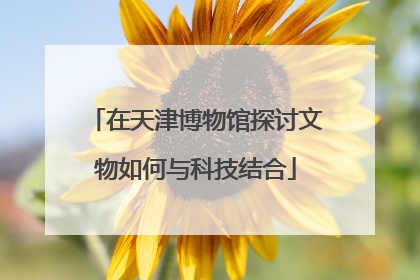 在天津博物馆探讨文物如何与科技结合