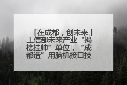 在成都，创未来丨工信部未来产业“揭榜挂帅”单位，“成都造”用脑机接口技术造福孤独症儿童