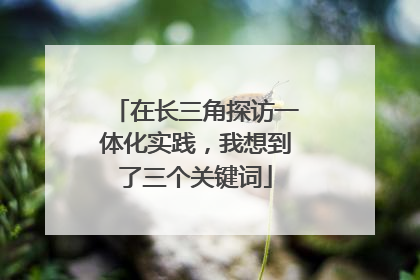 在长三角探访一体化实践，我想到了三个关键词