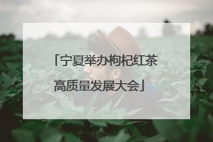 宁夏举办枸杞红茶高质量发展大会