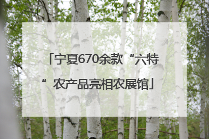 宁夏670余款“六特”农产品亮相农展馆