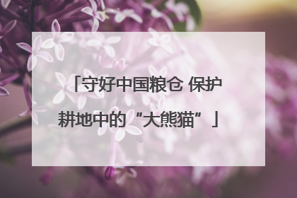 守好中国粮仓 保护耕地中的“大熊猫”