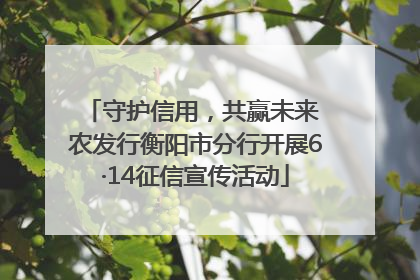 守护信用，共赢未来 农发行衡阳市分行开展6·14征信宣传活动