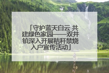 守护蓝天白云 共建绿色家园——双井镇深入开展秸秆禁烧入户宣传活动