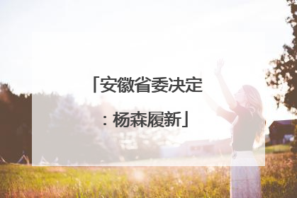 安徽省委决定：杨森履新