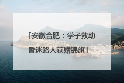 安徽合肥：学子救助昏迷路人获赠锦旗