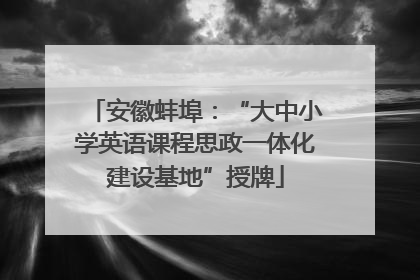 安徽蚌埠：“大中小学英语课程思政一体化建设基地”授牌