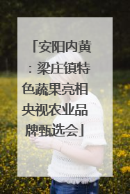 安阳内黄：梁庄镇特色蔬果亮相央视农业品牌甄选会