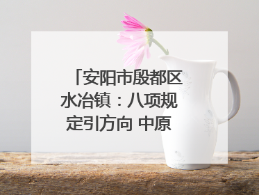 安阳市殷都区水冶镇：八项规定引方向 中原第一镇谱新章