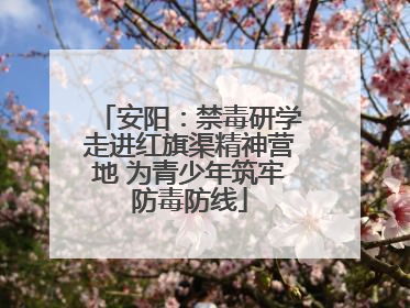 安阳：禁毒研学走进红旗渠精神营地 为青少年筑牢防毒防线