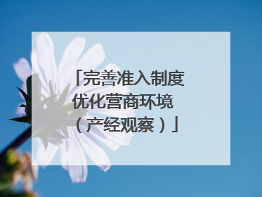 完善准入制度 优化营商环境（产经观察）