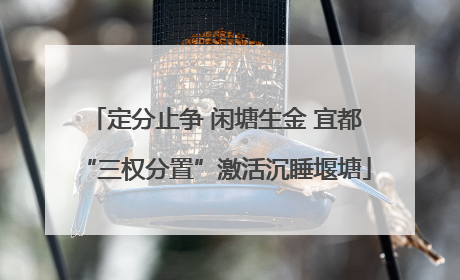 定分止争 闲塘生金 宜都“三权分置”激活沉睡堰塘