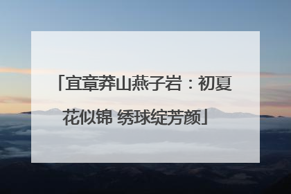 宜章莽山燕子岩：初夏花似锦 绣球绽芳颜
