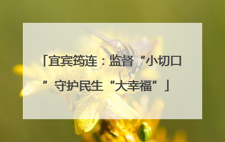 宜宾筠连：监督“小切口”守护民生“大幸福”