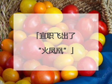 宜职飞出了“火凤凰”