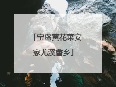 宝岛黄花菜安家尤溪畲乡
