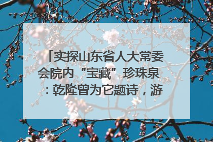 实探山东省人大常委会院内“宝藏”珍珠泉：乾隆曾为它题诗，游客无需预约免费游览