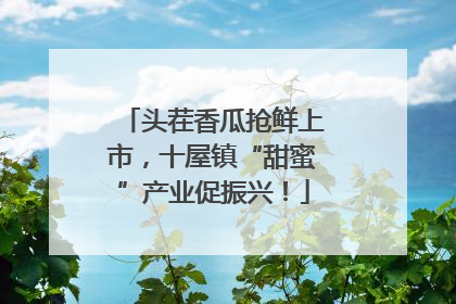 头茬香瓜抢鲜上市，十屋镇“甜蜜”产业促振兴！