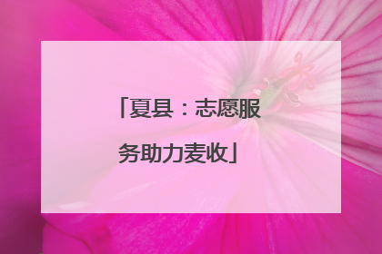 夏县：志愿服务助力麦收
