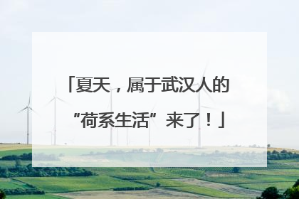 夏天，属于武汉人的“荷系生活”来了！