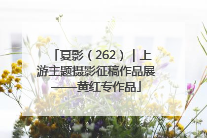 夏影（262）｜上游主题摄影征稿作品展——黄红专作品