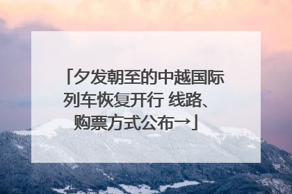 夕发朝至的中越国际列车恢复开行 线路、购票方式公布→