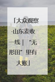大众观察·山东麦收一线｜“无形田”里有大账