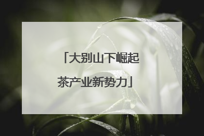 大别山下崛起茶产业新势力