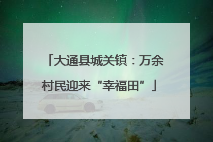 大通县城关镇：万余村民迎来“幸福田”