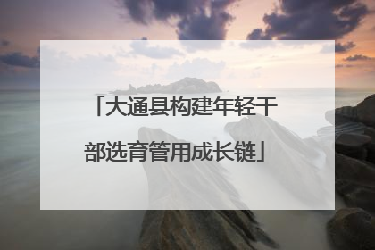 大通县构建年轻干部选育管用成长链
