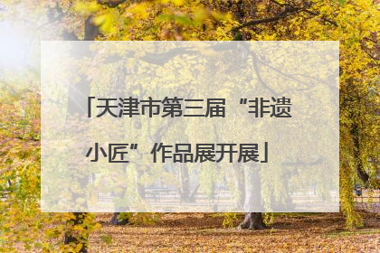 天津市第三届“非遗小匠”作品展开展