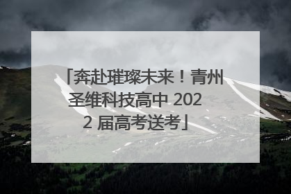奔赴璀璨未来！青州圣维科技高中 2022 届高考送考